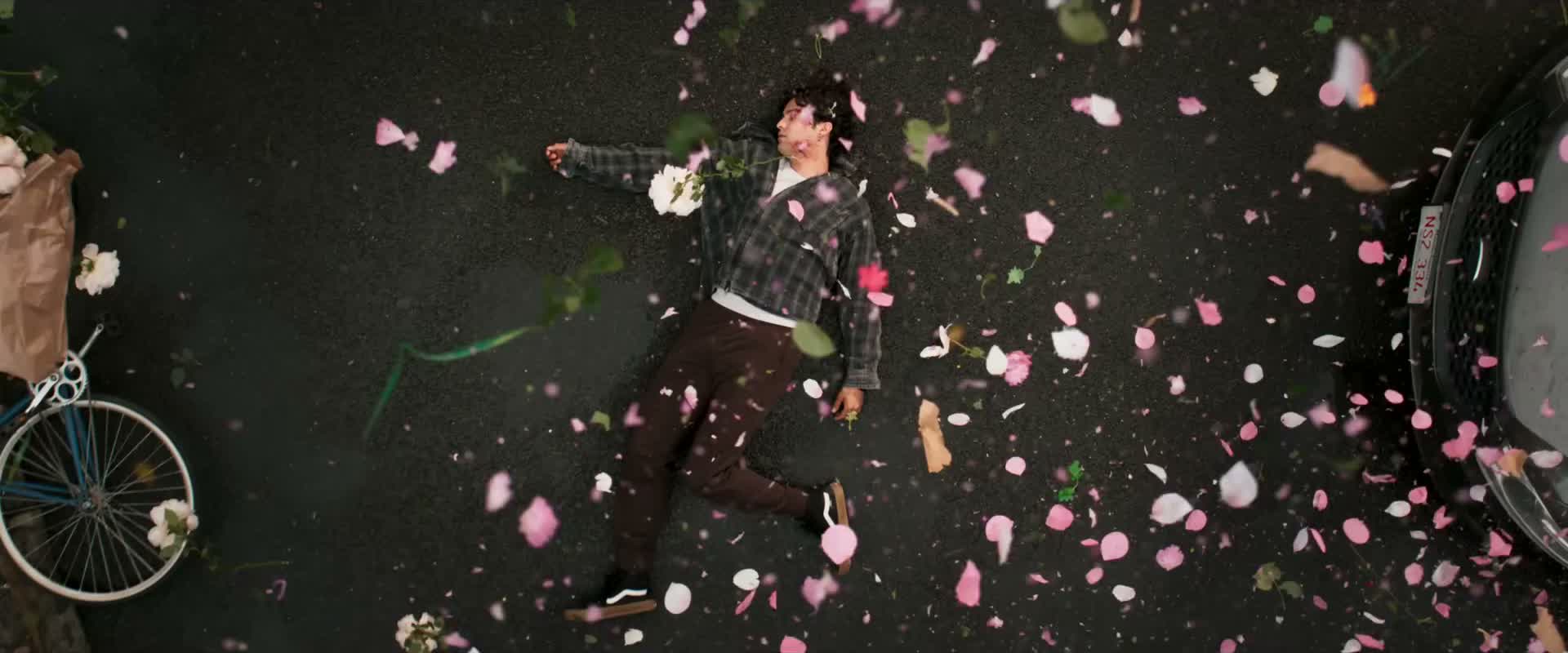 A cursed young man falls beneath a shower of flower petals